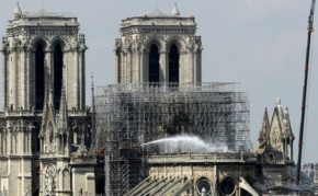 Bees living on Notre-Dame cathedral roof survive blaze