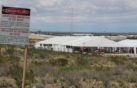 US builds migrant tent city in Texas as Trump likens treatment to ‘Disneyland’